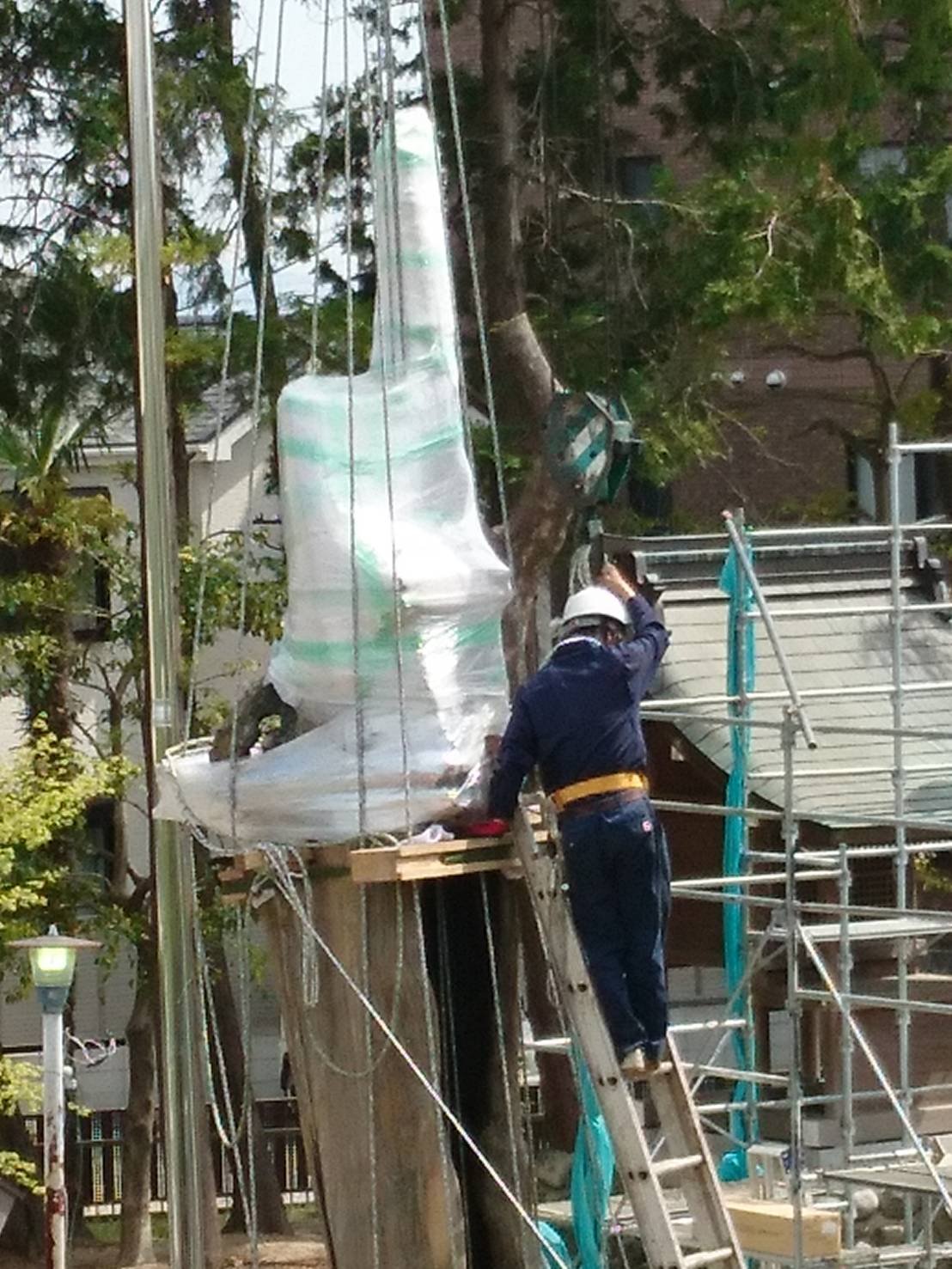 文化財の保護の流れ