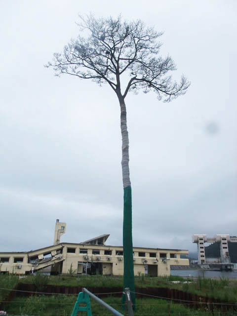 文化財の保護の流れ