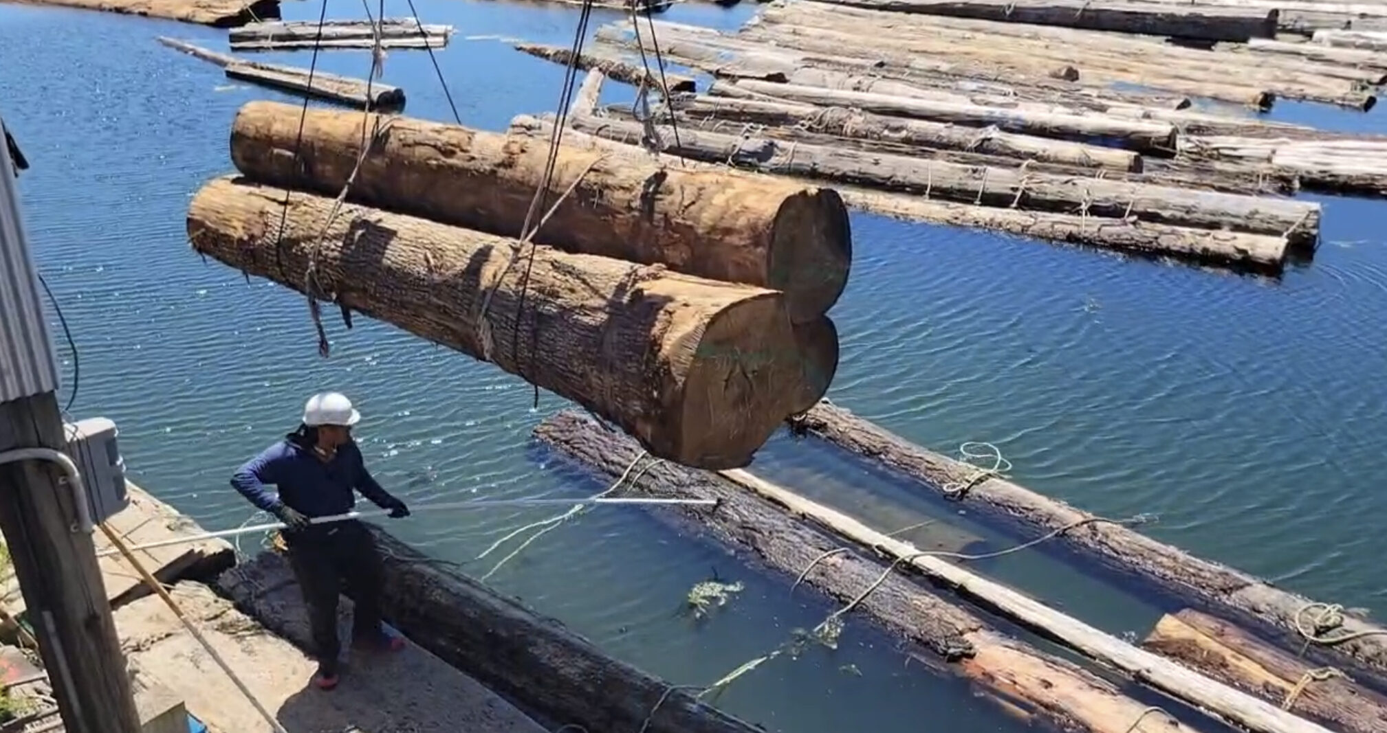 水中乾燥の作業風景