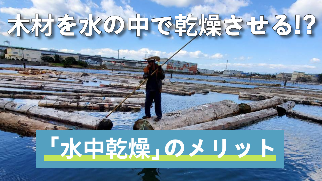コラム